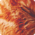 :iconcornemuse: