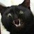 :iconcornfield121: