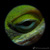 :iconcoronachart: