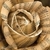 :iconcorpse-bride99: