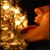 :iconcorpulent-bird: