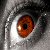 :iconcorteks: