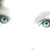 :iconcortessa: