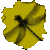 :iconcortnithekid: