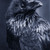 :iconcorvid-stealer: