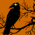 :iconcorvus33: