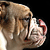 :iconcory600: