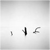 :iconcoryvarcoe: