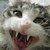 :iconcosjunkie: