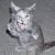 :iconcosmic-force: