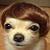 :iconcosmiccollisions: