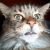 :iconcosmiccupcake: