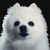 :iconcosmiquerays: