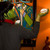 :iconcosplayer-daisuke: