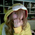 :iconcotamariachan: