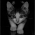 :iconcoth-rus: