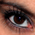 :iconcotton-cat: