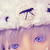 :iconcotton-top: