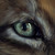 :iconcottondragon: