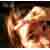 :iconcottonkisses: