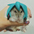:iconcottonkotton: