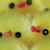 :iconcottonlamb13: