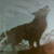 :iconcoudious-armadou: