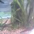 :iconcougar90002001: