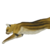 :iconcougarclaw01: