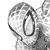 :iconcount-eru: