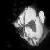 :iconCount-Gargaroth: