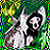 :iconcountpinkula: