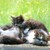 :iconcountry-photography:
