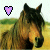 :iconcountryheart: