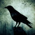 :iconcoures: