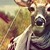 :iconcourtmadort: