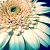 :iconcourtneycakes: