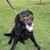 :iconcourtneyrc: