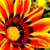 :iconcourtz-89: