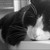 :iconcoutchtreasure: