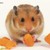 :iconcouzer732: