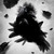 :iconcovax914: