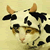:iconcow-of-justice: