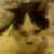 :iconcow-tipping:
