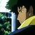 :iconCowboy-Of-Long-Ago: