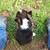 :iconcowgirl08:
