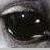 :iconcowgirl101-09: