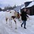 :iconcowgirl90: