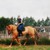 :iconcowgirlke: