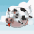 :iconcowgirlms: